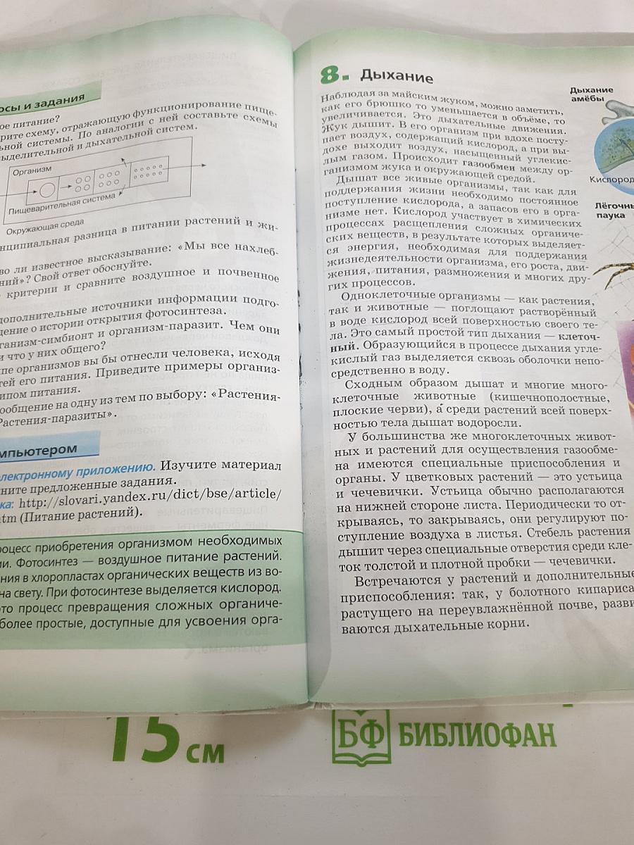 Биология. Живой организм. 6 класс