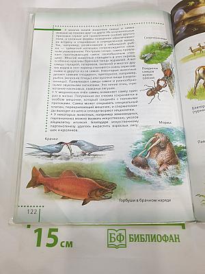 Биология. Живой организм. 6 класс