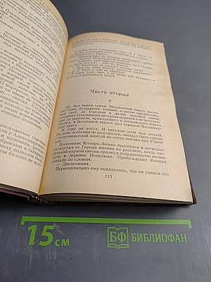 Белая гвардия. Мастер и Маргарита. Романы