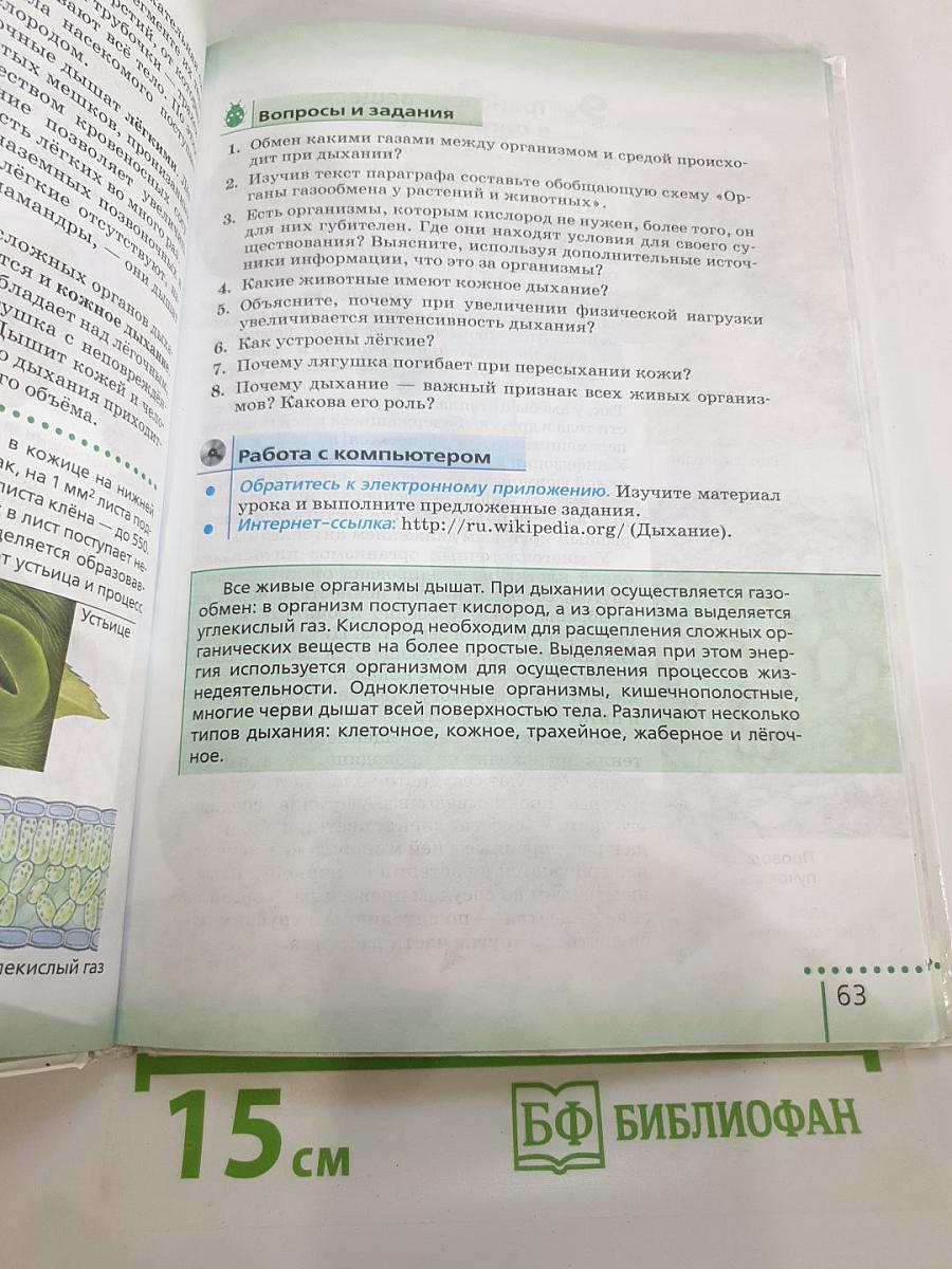 Биология. Живой организм. 6 класс