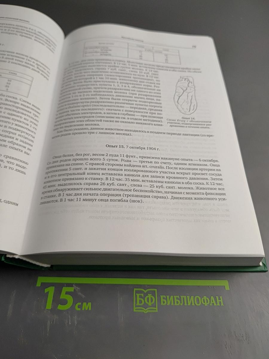 Профессор М. П. Никитин и наше время