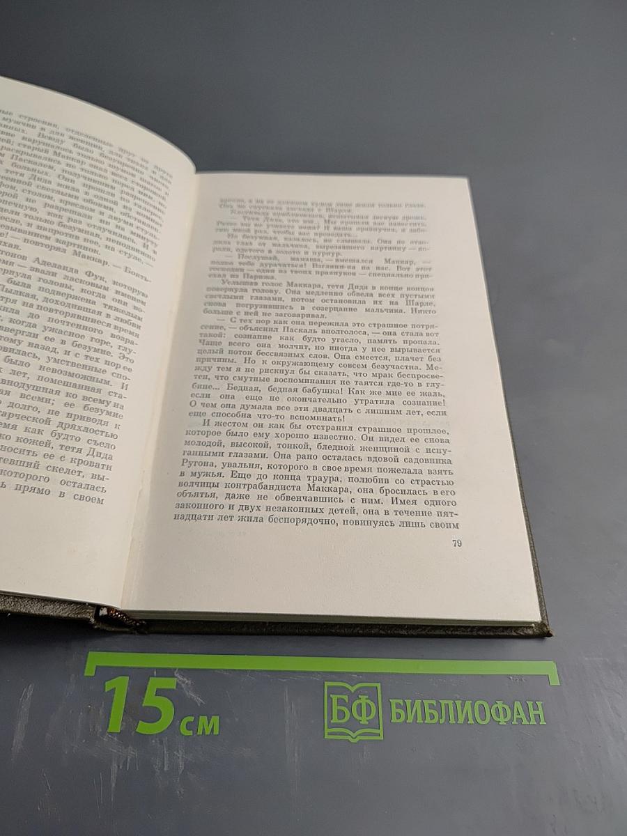 Собрание сочинений Том шестнадцатый: Доктор Паскаль