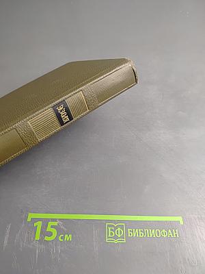 Собрание сочинений Том шестнадцатый: Доктор Паскаль