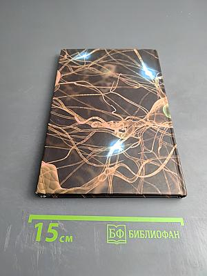 Терапевтический потенциал клеток пуповинной крови при негематологических заболеваниях