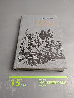 Товарищ Комбат. Документальная повесть