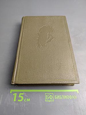 Анна Каренина. Роман в восьми частях. Собрание сочинений. Том девятый