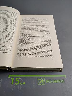 Анна Каренина. Роман в восьми частях. Собрание сочинений. Том девятый
