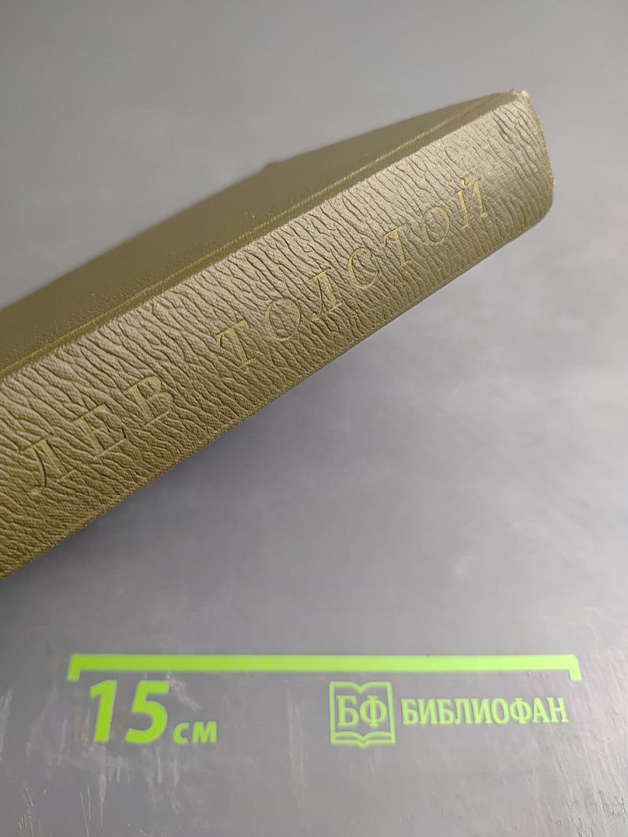 Анна Каренина. Роман в восьми частях. Собрание сочинений. Том девятый