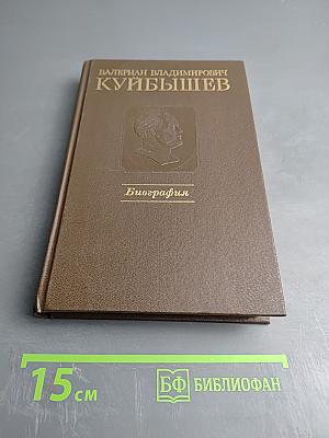 Валериан Владимирович Куйбышев. Биография