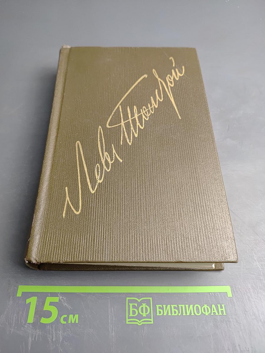 Дневники 1895-1910. Том двадцать второй