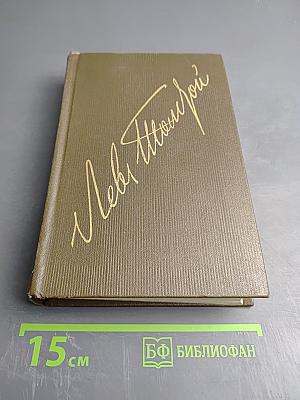 Дневники 1895-1910. Том двадцать второй