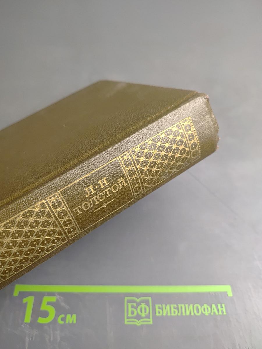 Дневники 1895-1910. Том двадцать второй