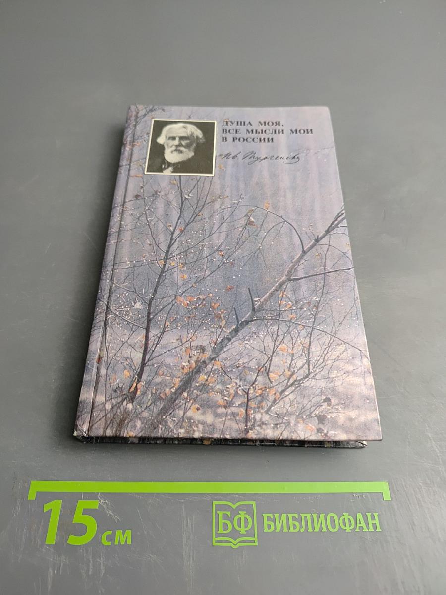 Душа моя, все мысли мои в России