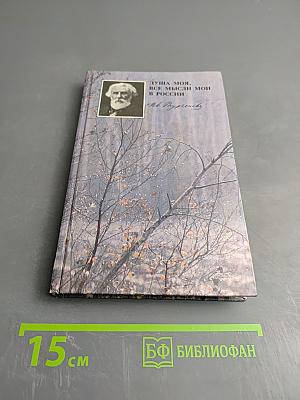 Душа моя, все мысли мои в России