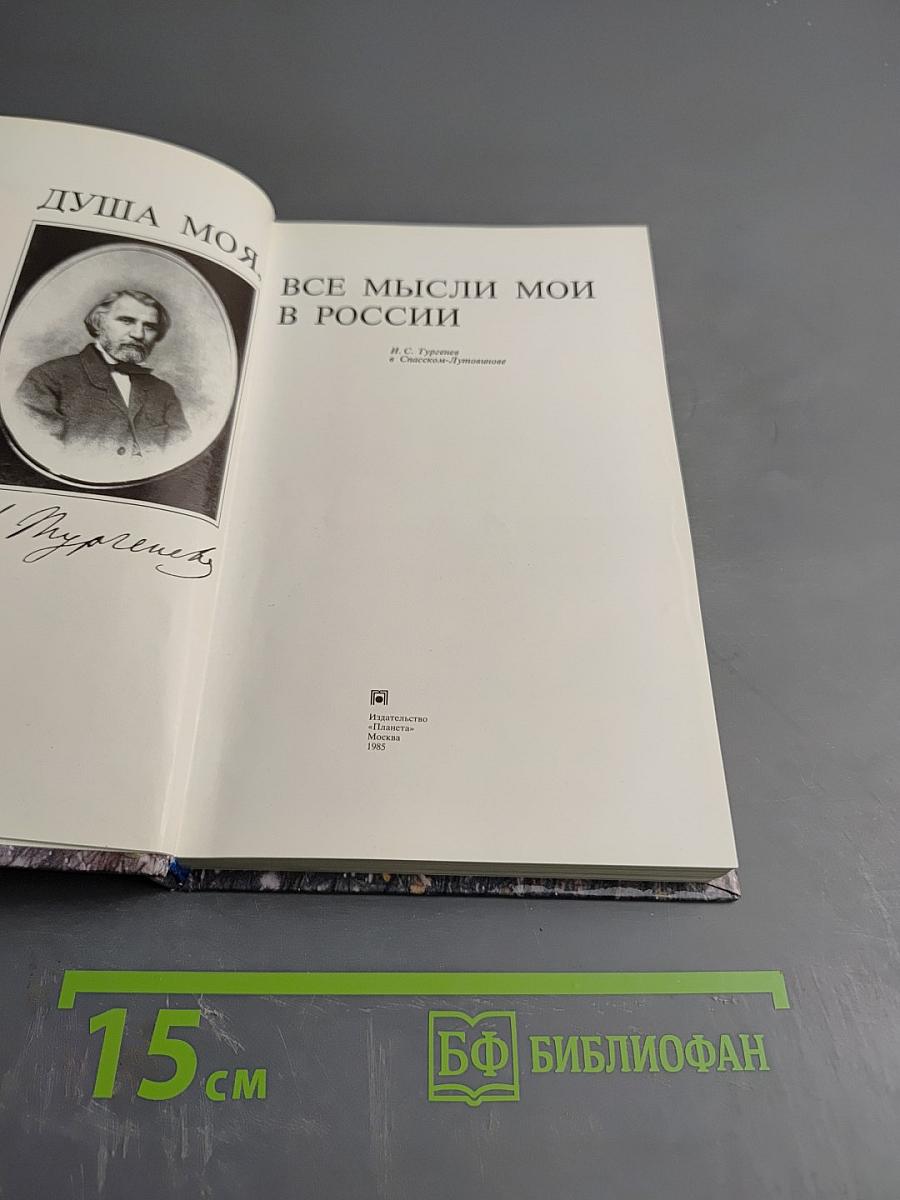 Душа моя, все мысли мои в России