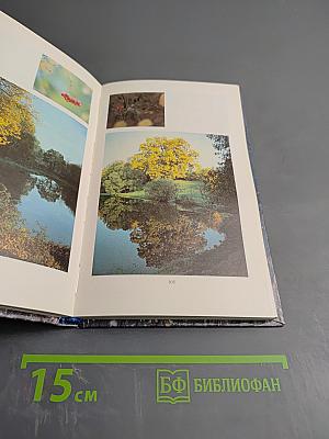 Душа моя, все мысли мои в России