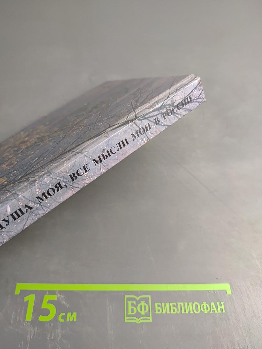 Душа моя, все мысли мои в России