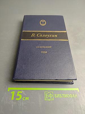 Созерцание чуда. Очерки