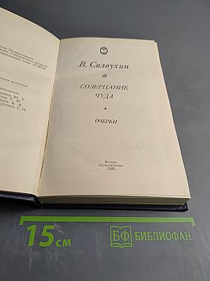 Созерцание чуда. Очерки