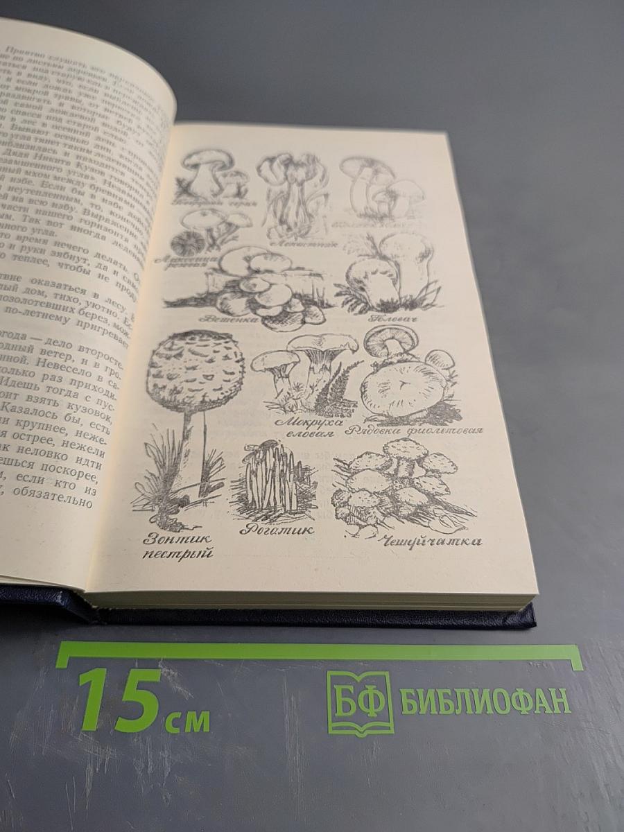 Созерцание чуда. Очерки