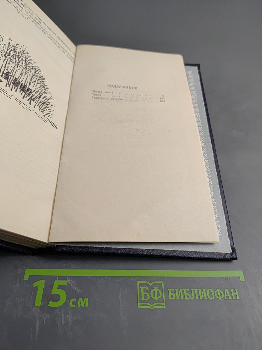 Созерцание чуда. Очерки