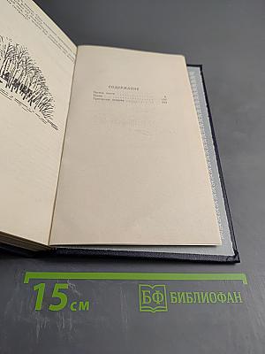 Созерцание чуда. Очерки