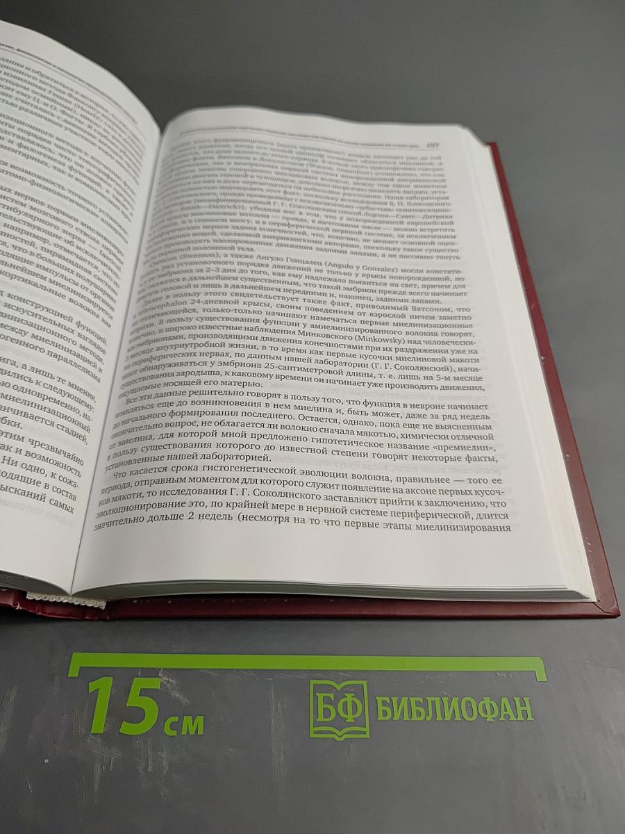 Профессор Е. Л. Вендерович и наше время (130 лет со дня рождения)