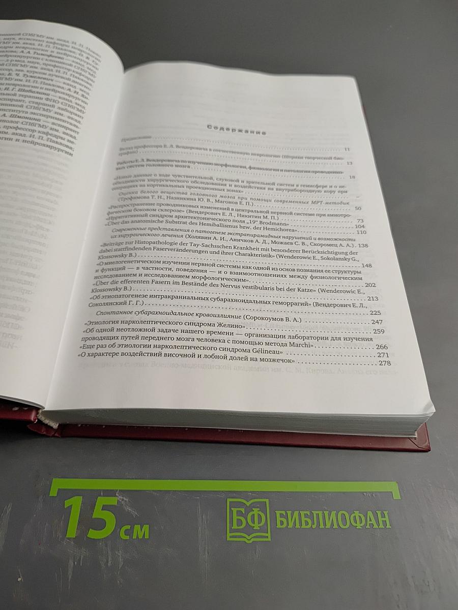 Профессор Е. Л. Вендерович и наше время (130 лет со дня рождения)