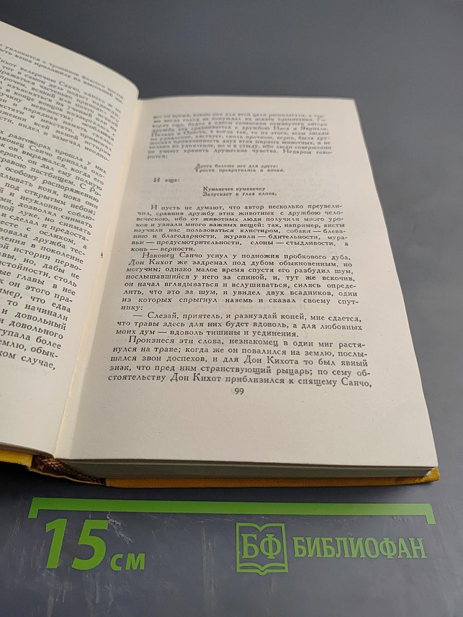 Собрание сочинений в пяти томах. Том второй: Дон Кихот Ламанчский