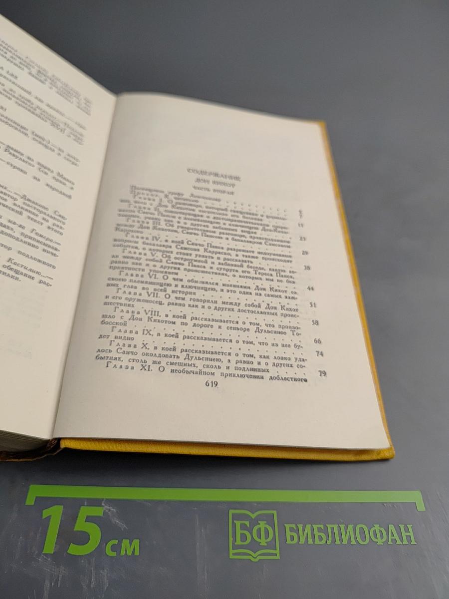 Собрание сочинений в пяти томах. Том второй: Дон Кихот Ламанчский