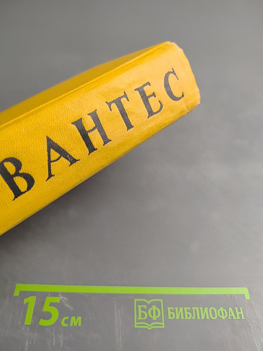 Собрание сочинений в пяти томах. Том второй: Дон Кихот Ламанчский