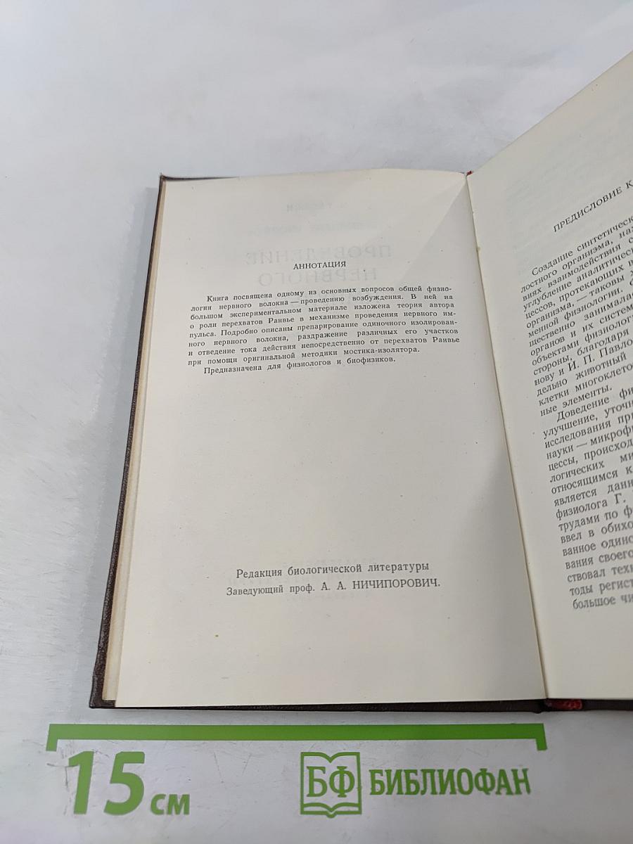 Проведение нервного импульса