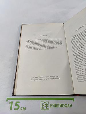 Проведение нервного импульса