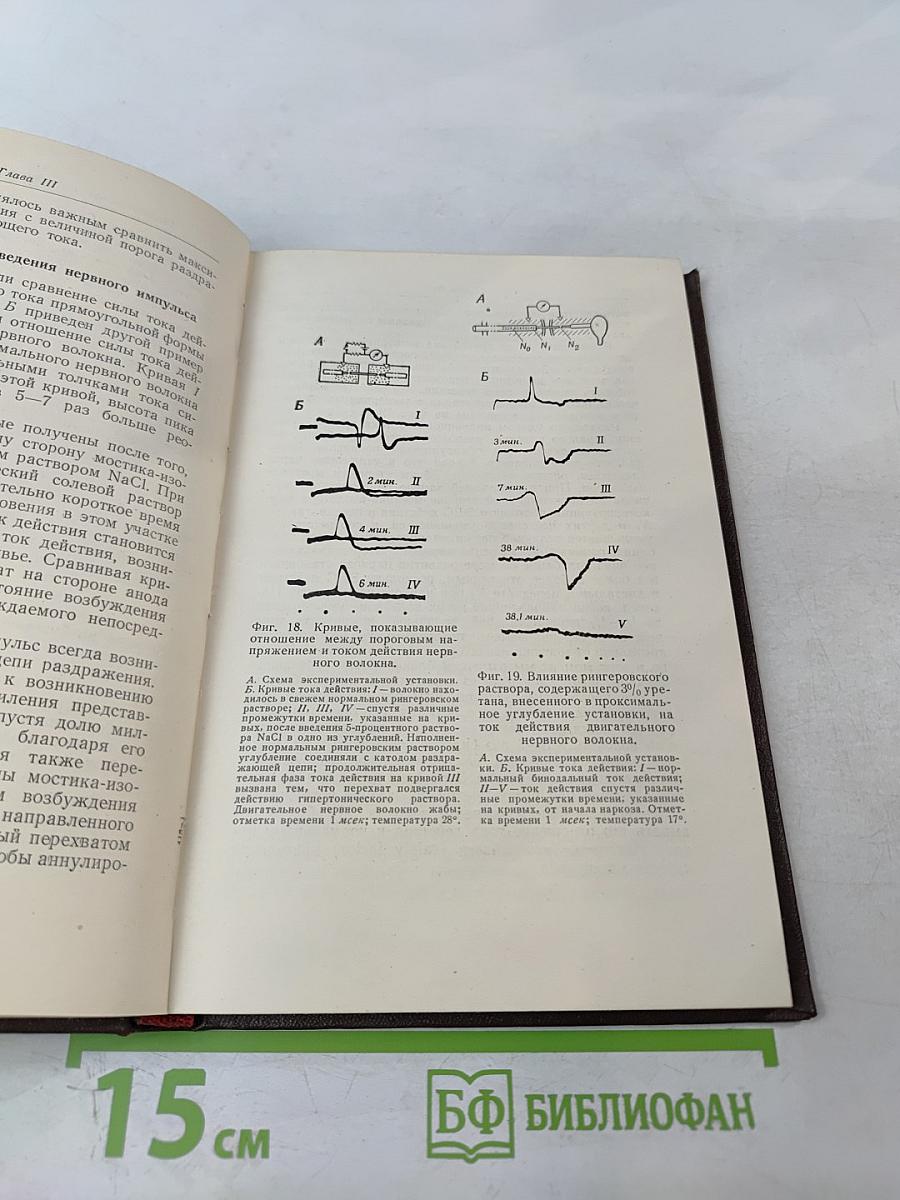 Проведение нервного импульса