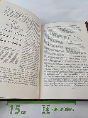 Проведение нервного импульса