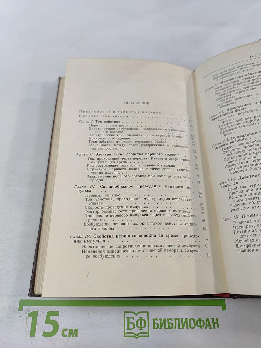 Проведение нервного импульса