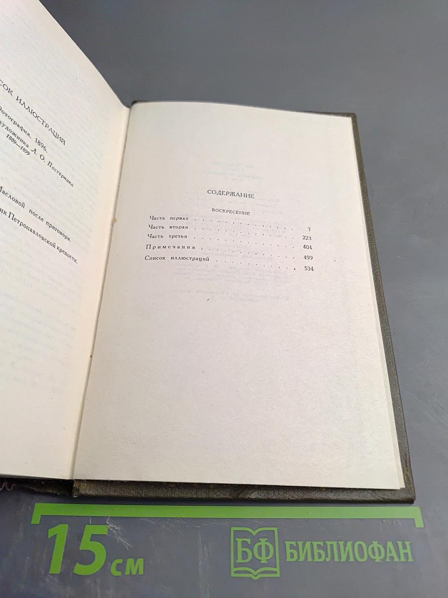 Воскресение. Собрание сочинений. Том тринадцатый