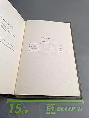 Воскресение. Собрание сочинений. Том тринадцатый