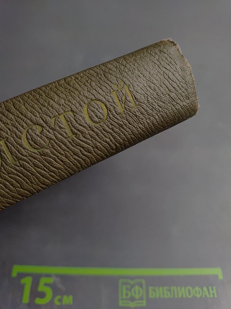 Воскресение. Собрание сочинений. Том тринадцатый