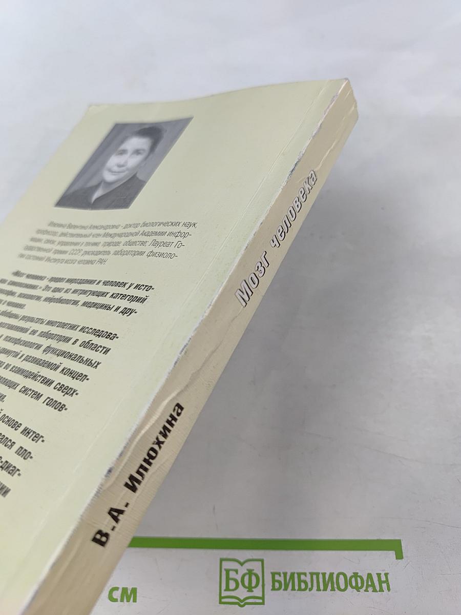 Мозг человека в механизмах информационно-управляющих взаимодействий организма и среды обитания