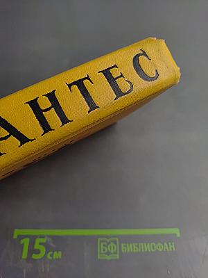 Странствия Персилеса и Сихизмунды (Собрание сочинений в пяти томах, Том пятый)