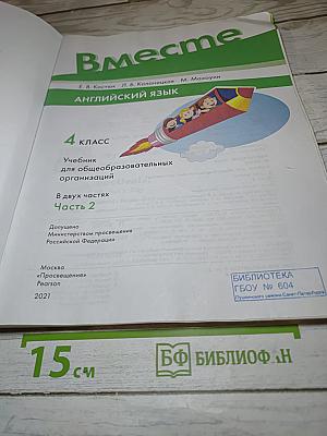 Team Up! Английский язык. 4 класс. Часть 2
