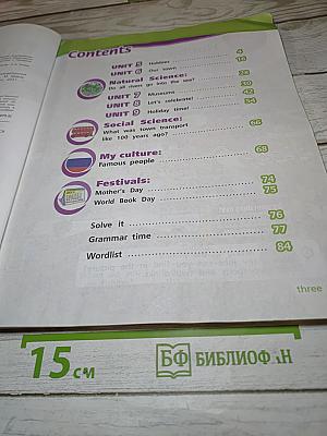 Team Up! Английский язык. 4 класс. Часть 2