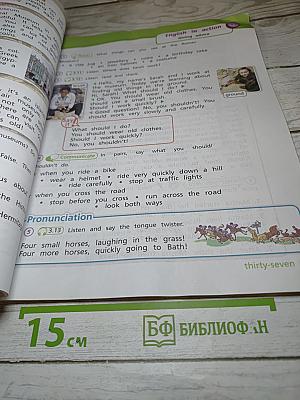 Team Up! Английский язык. 4 класс. Часть 2