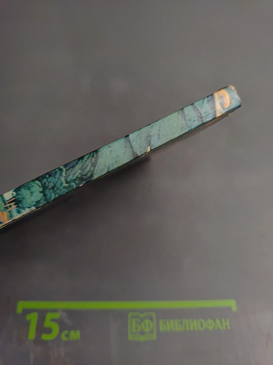 Навстречу рассвету