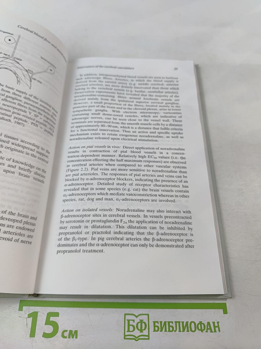 Cerebral blood flow and metabolism
