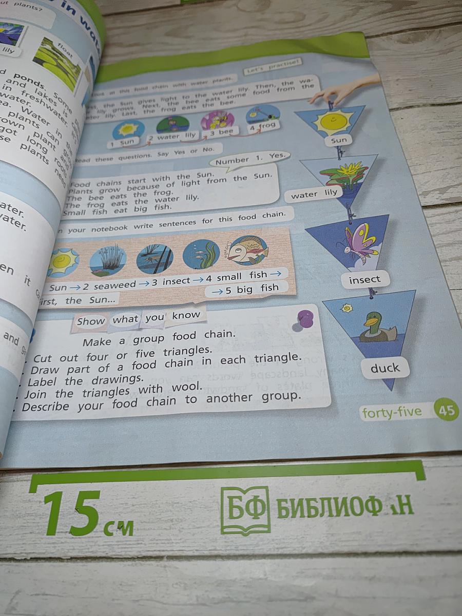 Team Up! Английский язык. 4 класс. Часть 1. Student's Book
