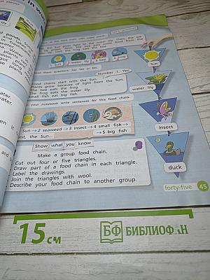 Team Up! Английский язык. 4 класс. Часть 1. Student's Book