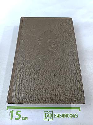 Дневники 1847-1894 гг. Том девятнадцатый