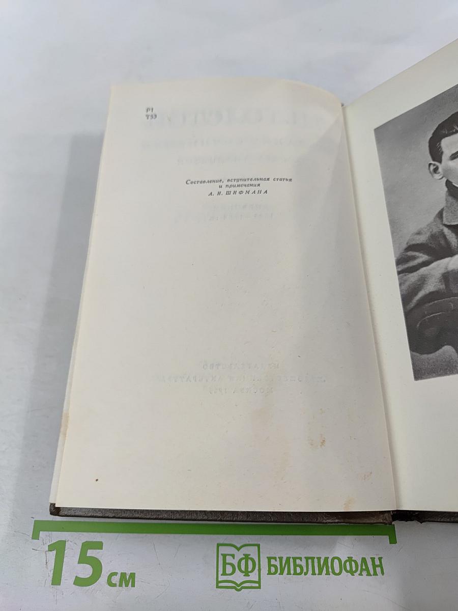 Дневники 1847-1894 гг. Том девятнадцатый